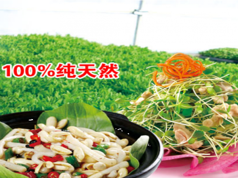 愛心農場芽苗菜