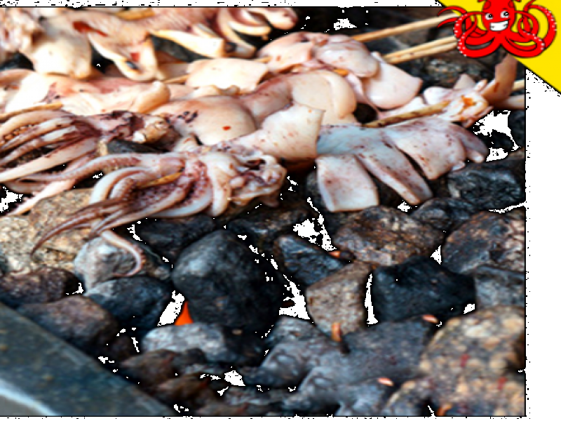 魷魚(yú)王子