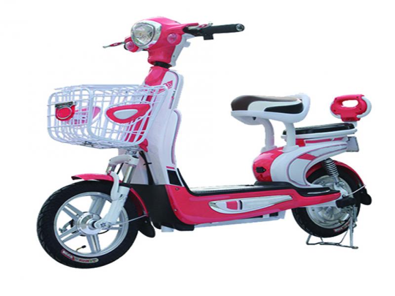 飄洋電動(dòng)車