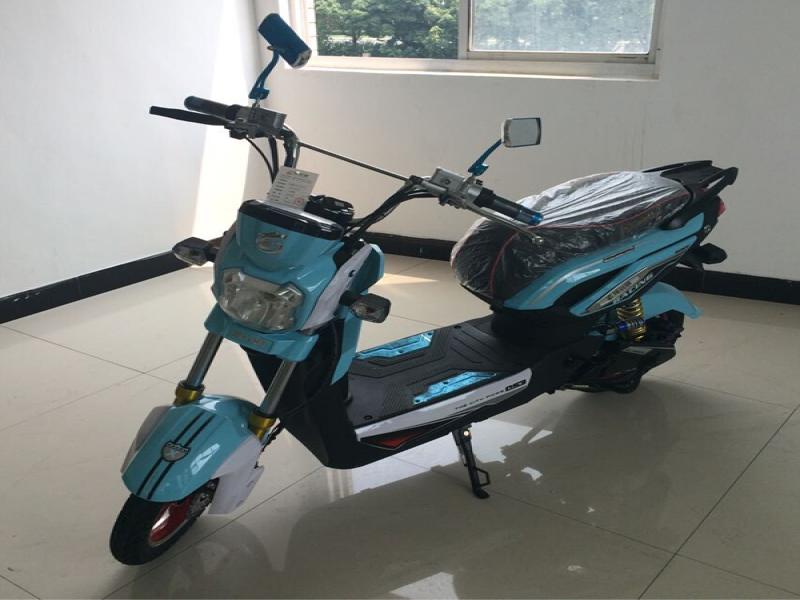 綠安騏電動車