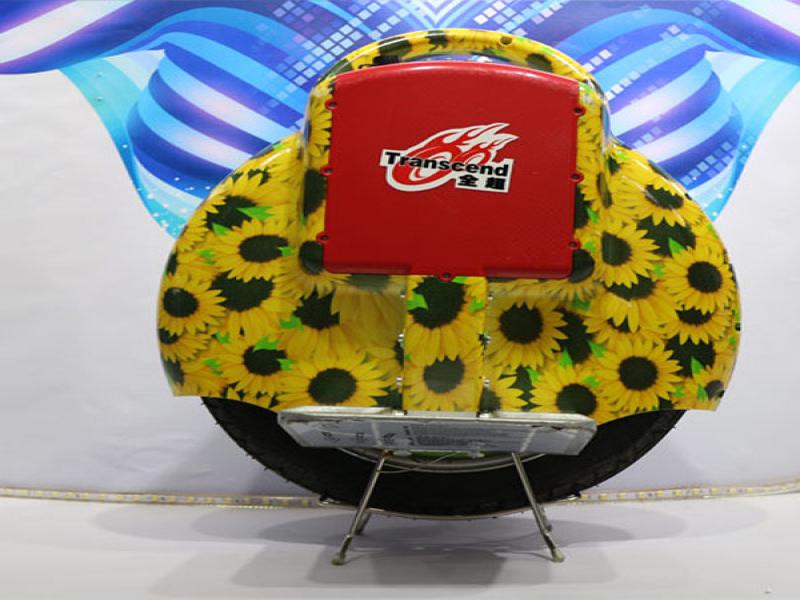 全超思維獨(dú)輪車