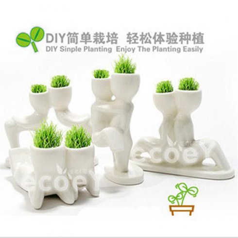 愛(ài)愛(ài)E家魔草植栽
