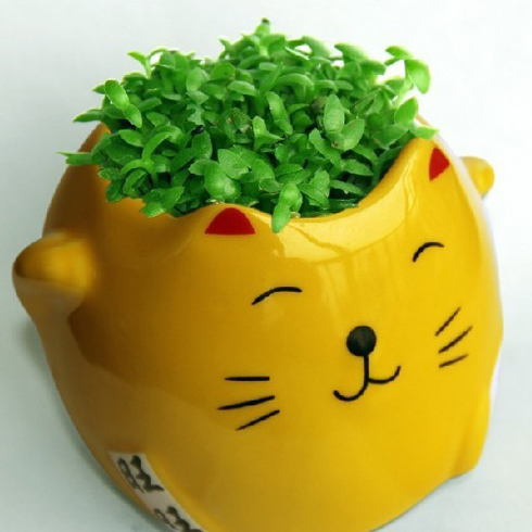 愛(ài)愛(ài)E家招財(cái)貓