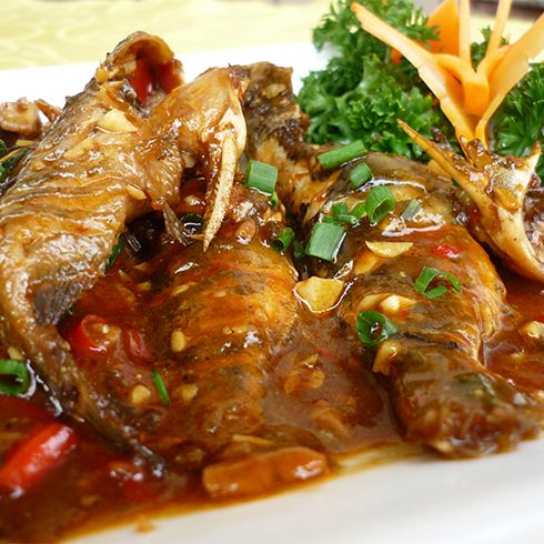 黃骨魚(yú)