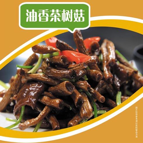 快吉客油香茶樹(shù)菇