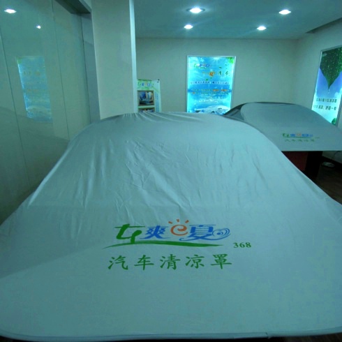 車爽E夏