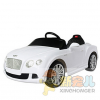 新寵兒童車(chē)產(chǎn)品-電機(jī)驅(qū)動(dòng)玩具車(chē)