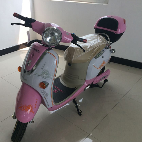 綠安騏電動(dòng)車(chē)-紅豆五代