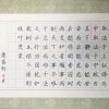 TOP狀元全語文培訓(xùn)-兒童練字作品