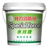 特力森防水涂料-水玲瓏強滲修復(fù)型