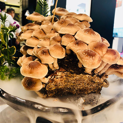 腩潮鮮牛腩火鍋-養(yǎng)生菌類(lèi)
