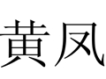 黃鳳女裝