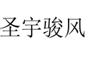 圣宇駿風(fēng)女裝