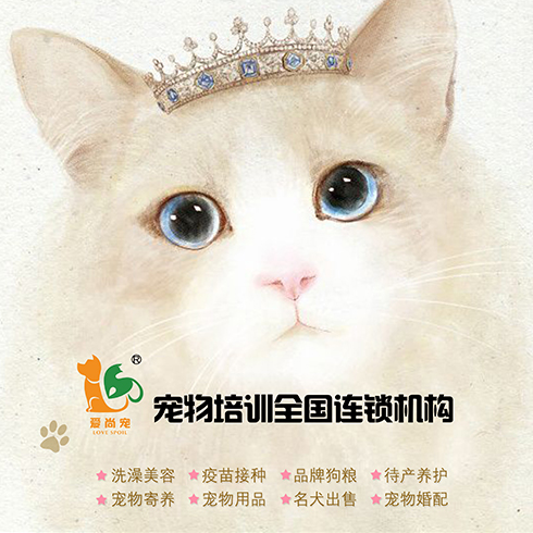 愛(ài)尚寵寵物店-寵物培訓(xùn)機(jī)構(gòu)
