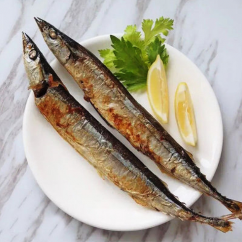 搜食兔秋刀魚(yú)